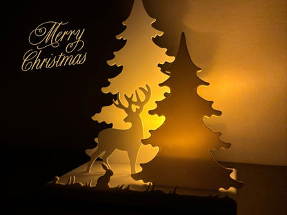 Fényliget - Nyuszis erdő