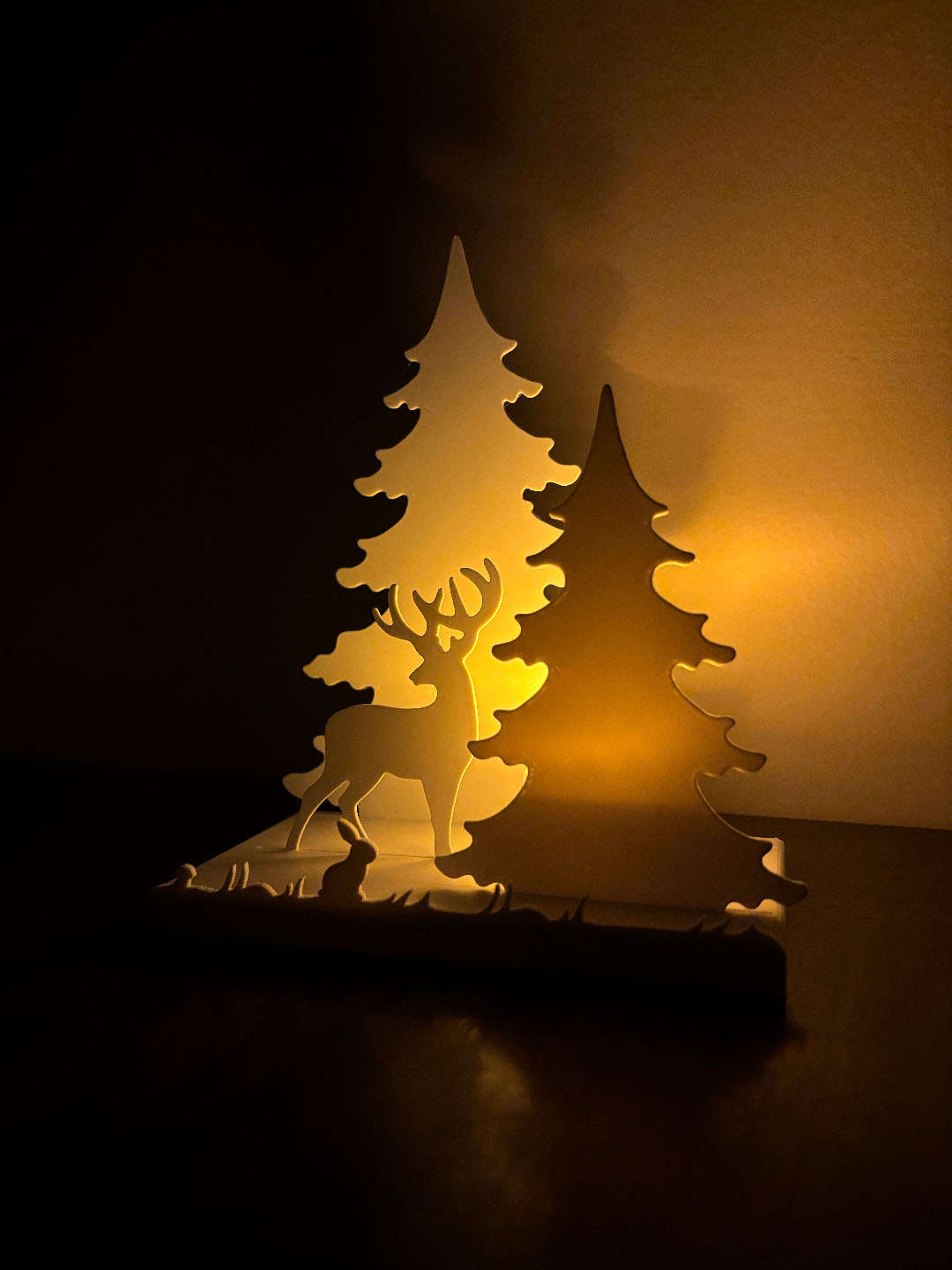 Fényliget - Nyuszis erdő