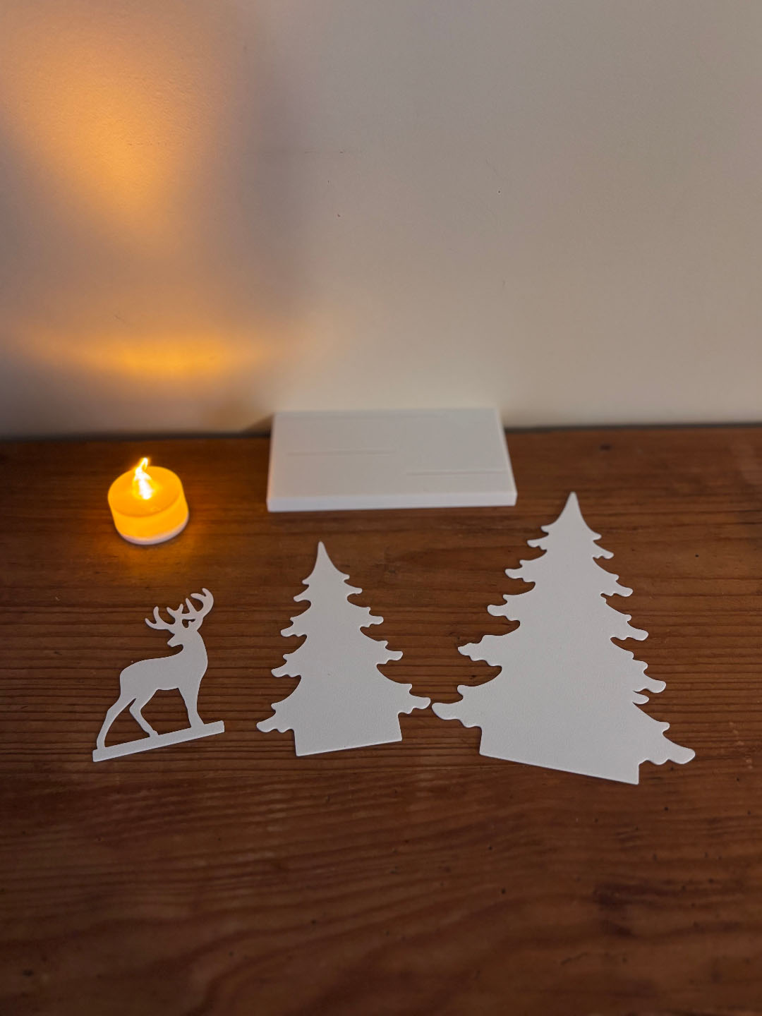 Fényliget - Nyuszis erdő